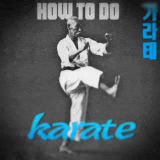 Album art for karate by danieldifferent