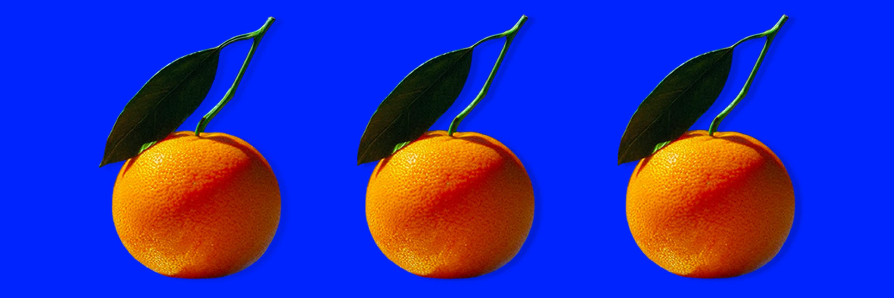 tangerine banner